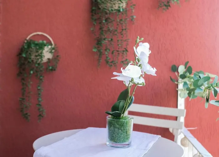 Magic Iris Reception 24h Apartmán *